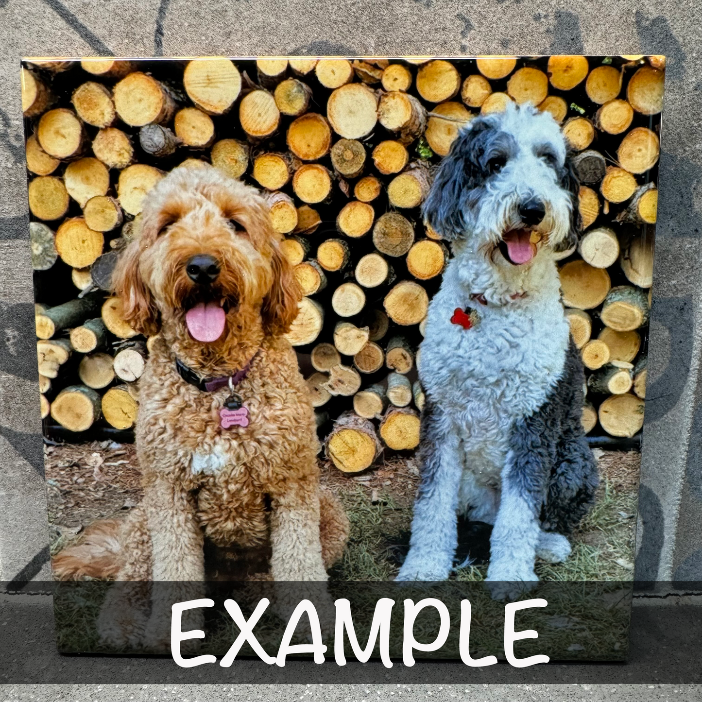 Turn Your Favorite Picture Into A Custom Ceramic Tile Trivet For Hot Dishes