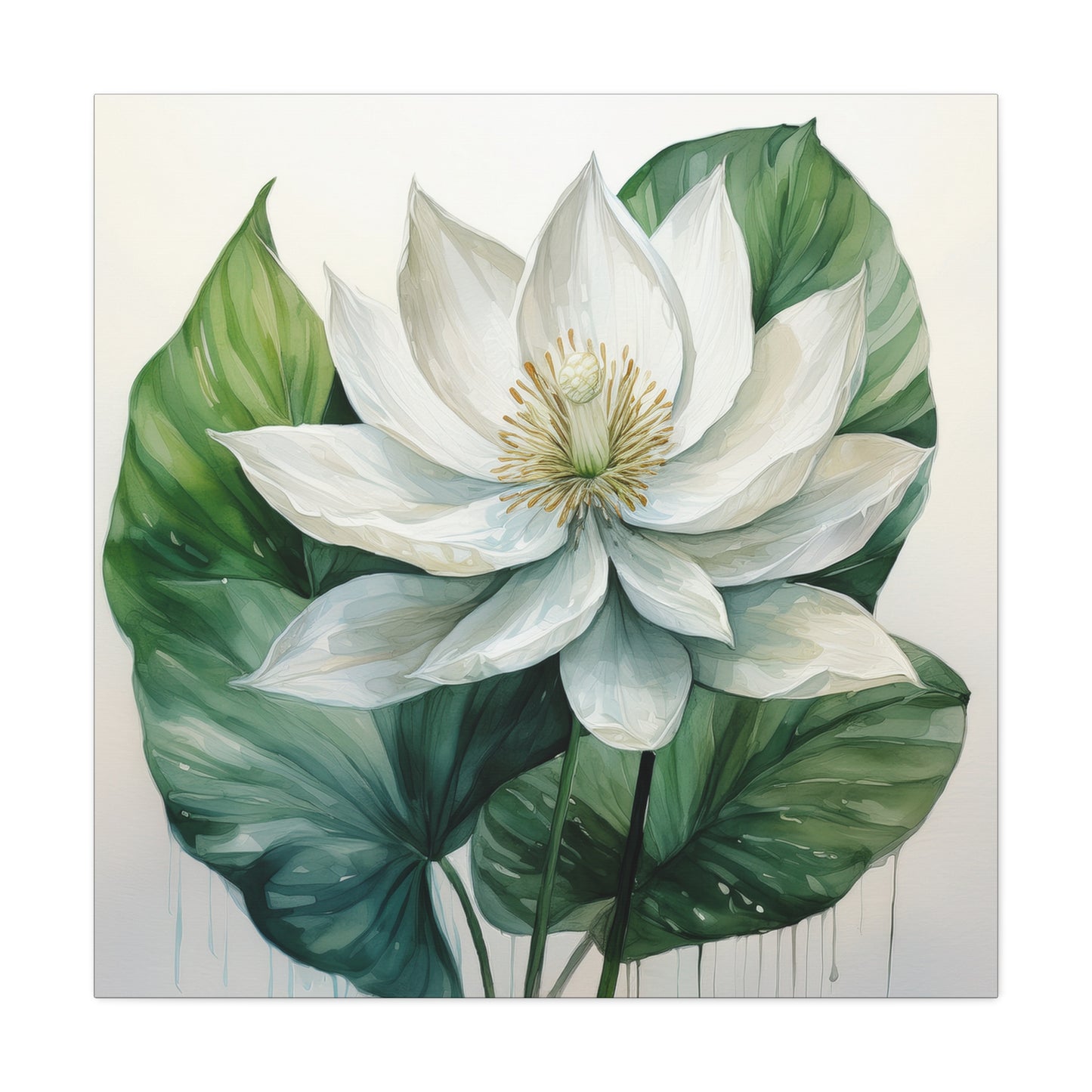 Peace Lily Frameless Canvas Wall Art Sizes 10”x10” – 36”x36”