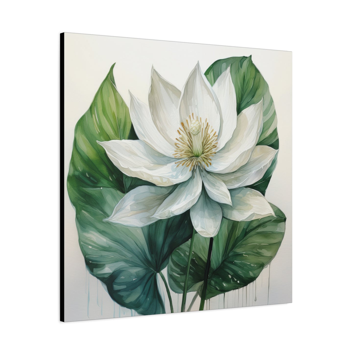 Peace Lily Frameless Canvas Wall Art Sizes 10”x10” – 36”x36”