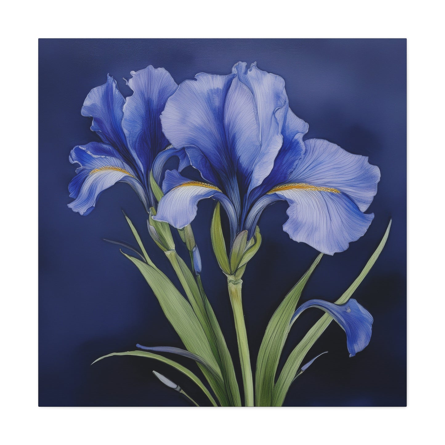 Iris Flower Frameless Canvas Wall Art Sizes 10”x10” – 36”x36”