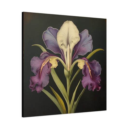Iris Flower Frameless Canvas Wall Art Sizes 10”x10” – 36”x36”