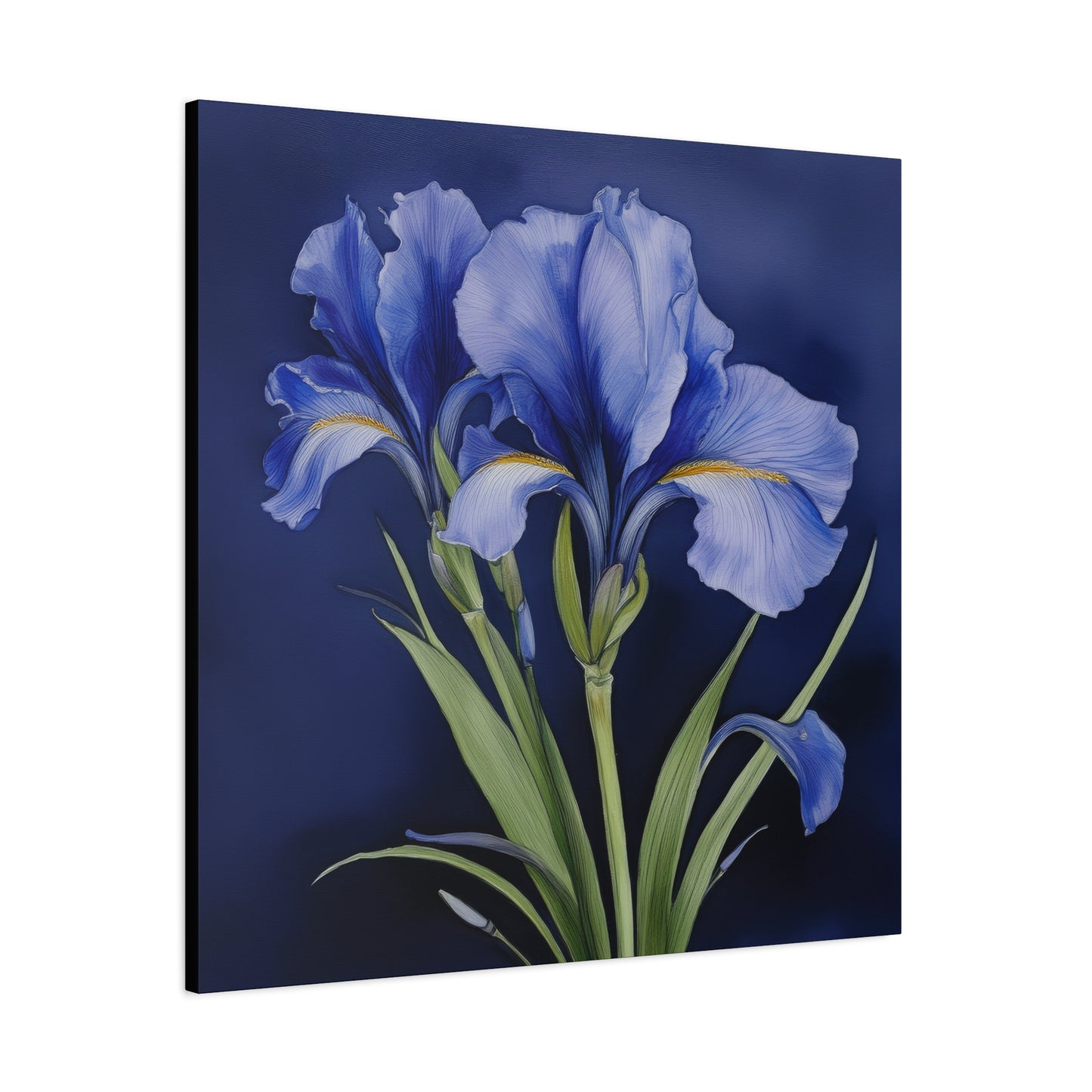 Iris Flower Frameless Canvas Wall Art Sizes 10”x10” – 36”x36”