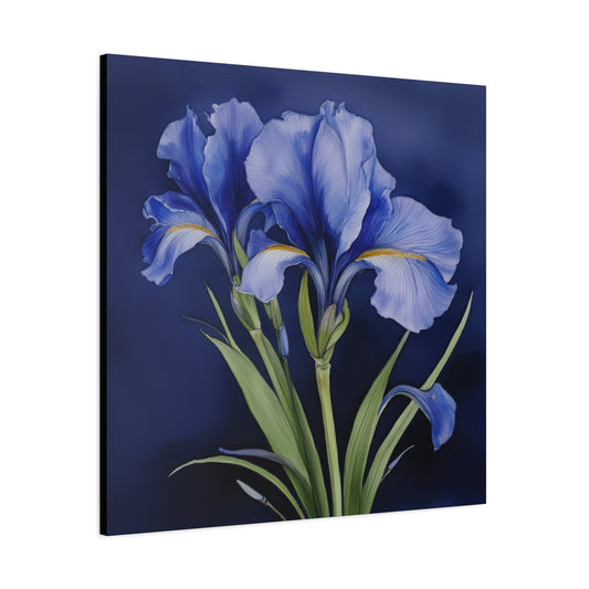 Iris Flower Frameless Canvas Wall Art Sizes 10”x10” – 36”x36”
