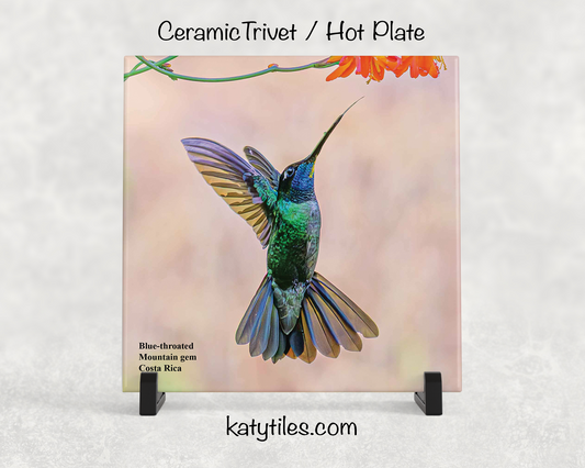 Special Edition Hummingbird Ceramic Tile Trivet and Hot Plate Collection by wildlife photographer George R. Phile