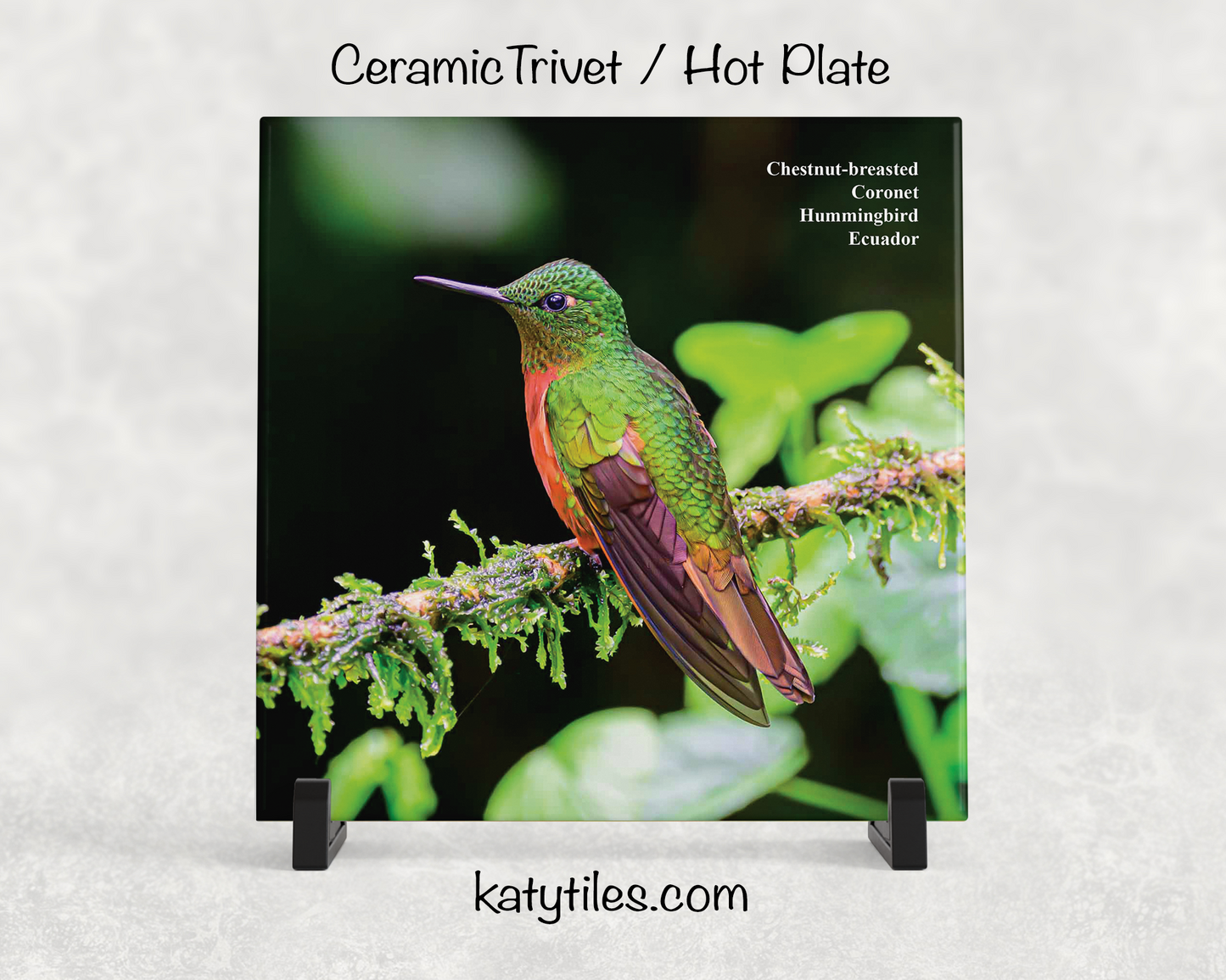 Special Edition Hummingbird Ceramic Tile Trivet and Hot Plate Collection by wildlife photographer George R. Phile