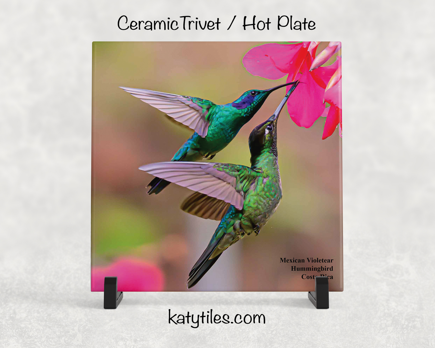 Special Edition Hummingbird Ceramic Tile Trivet and Hot Plate Collection by wildlife photographer George R. Phile