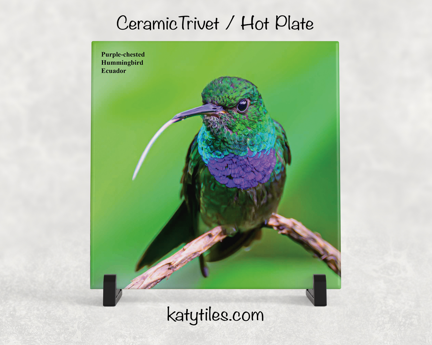 Special Edition Hummingbird Ceramic Tile Trivet and Hot Plate Collection by wildlife photographer George R. Phile