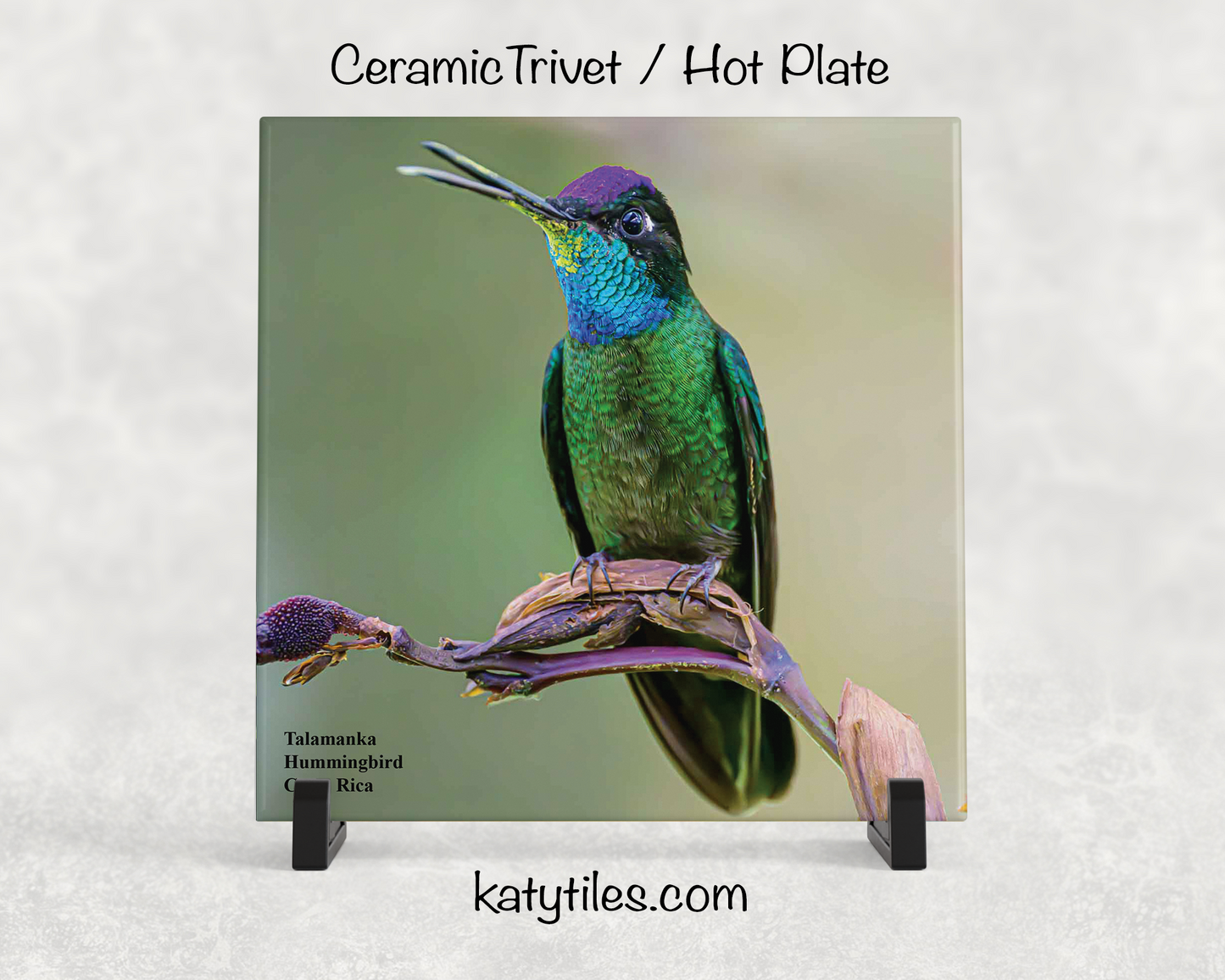 Special Edition Hummingbird Ceramic Tile Trivet and Hot Plate Collection by wildlife photographer George R. Phile
