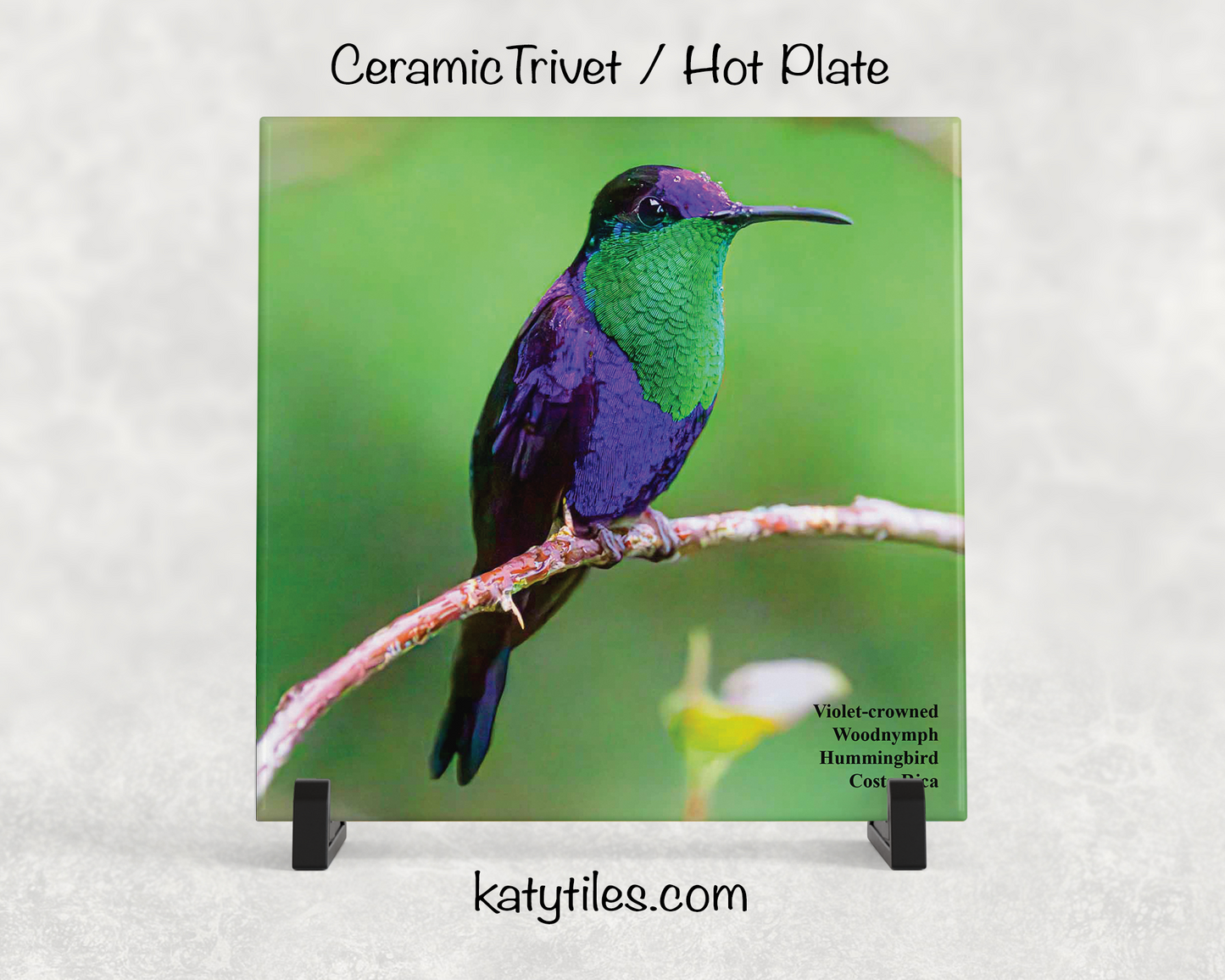 Special Edition Hummingbird Ceramic Tile Trivet and Hot Plate Collection by wildlife photographer George R. Phile