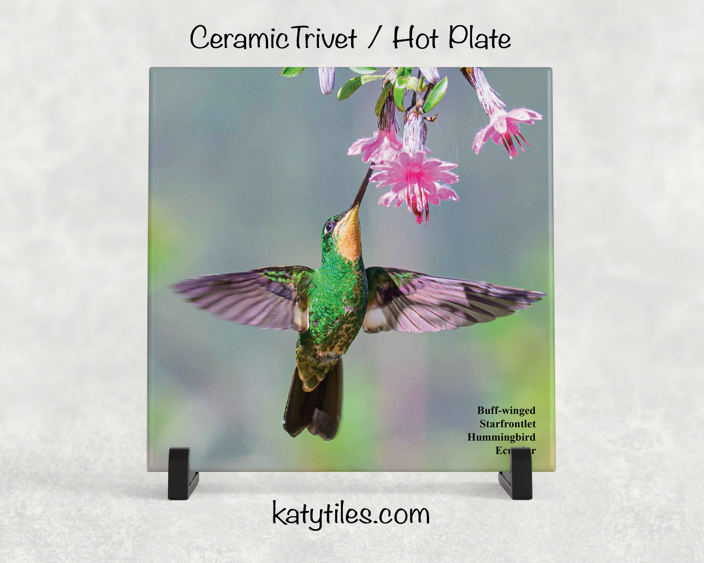 Special Edition Hummingbird Ceramic Tile Trivet and Hot Plate Collection by wildlife photographer George R. Phile